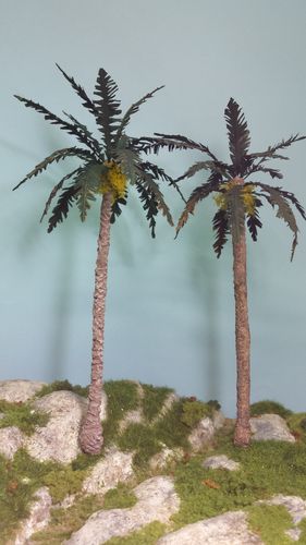 date palm cm 24-26 x2