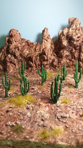 Cactus Saguaro e Cactus a canna d'organo cm. 3 - 5 x 6