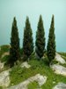 cypress da cm 16,00 X 4