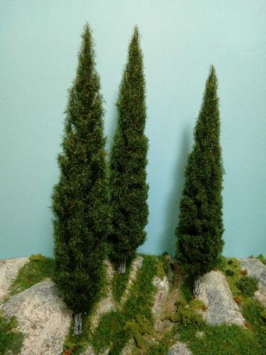 cypress da cm 18 X 3
