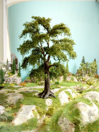 oak cm 20